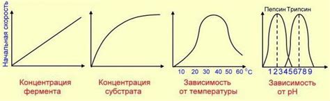 Регулировка температуры и скорости отжима