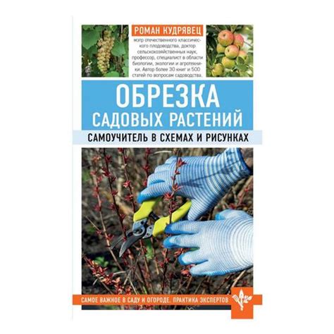 Регулярная обрезка и обработка растений в ЦСЗН