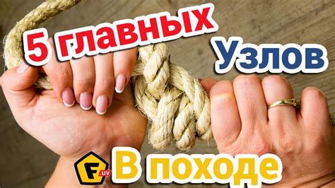 Регулярное очищение экрана от пыли и грязи