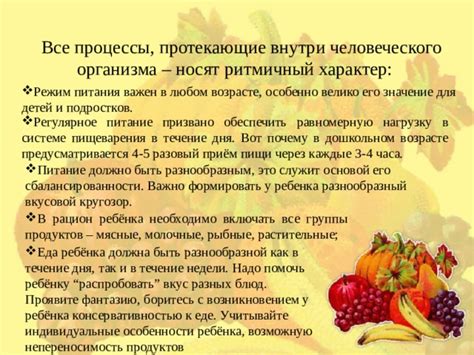 Регулярное питание в течение дня