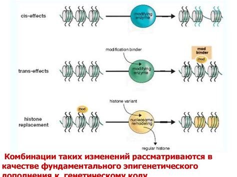 Регуляция генной экспрессии