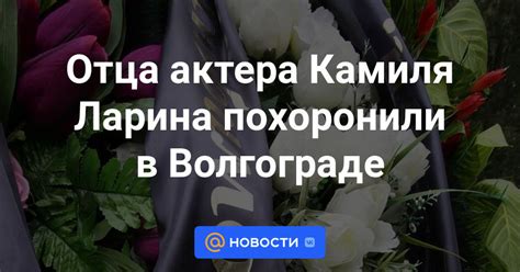 Рекомендации по использованию Камиля Ларина