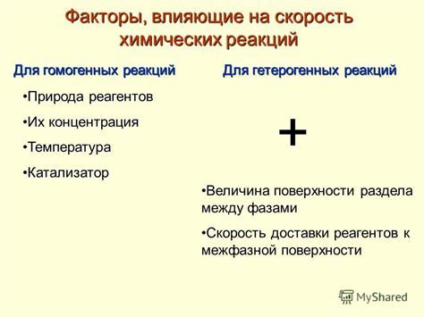 Рекомендации по оптимальной частоте проведения процедуры