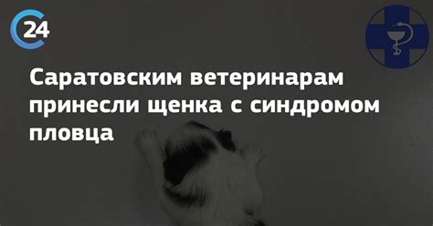 Рекомендации по проведению массажа щенка с синдромом пловца