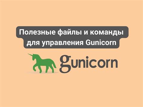 Рекомендации по удалению gunicorn и pip