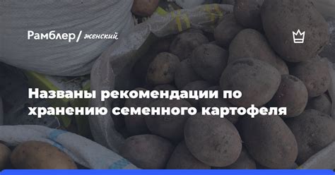 Рекомендации по хранению помола