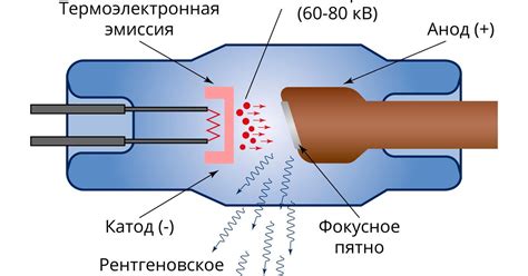 Рентгеновская трубка и детекторы