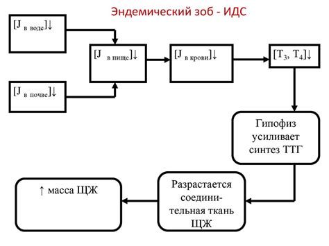 Рецепторы и передача сигналов