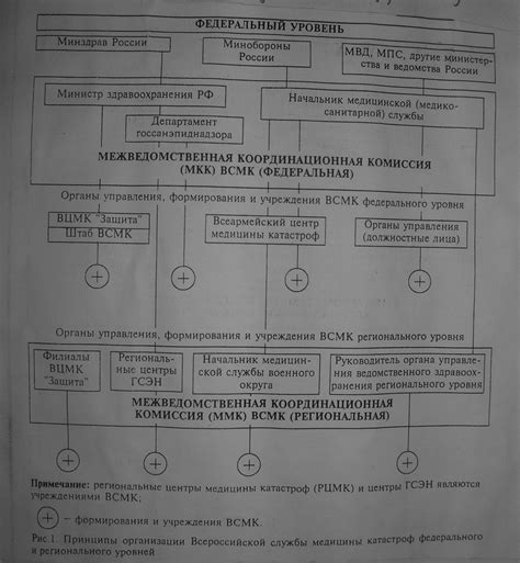 Решения, принимаемые комиссией Юмани