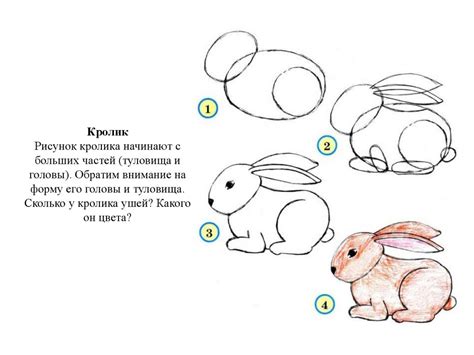 Рисование передних лап и туловища