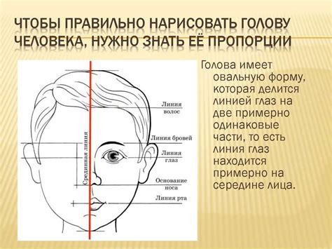 Рисуем голову мальчика: основные пропорции