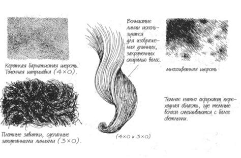 Рисуем шерсть и узоры