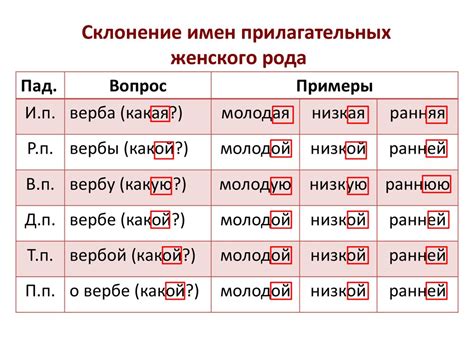 Рода присвоения имен княжеским детям