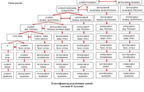 Родственные связи и термины