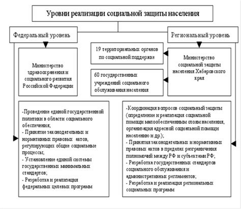 Роль ПФР Невского района в системе социальной защиты