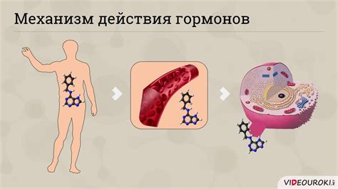 Роль адиарина в обмене веществ