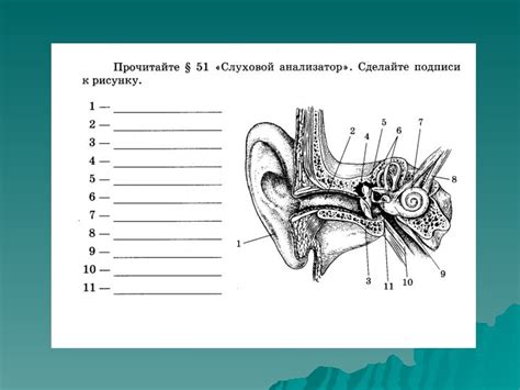 Роль аудиограммы в определении слуховой функции