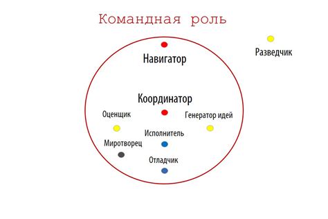 Роль в команде