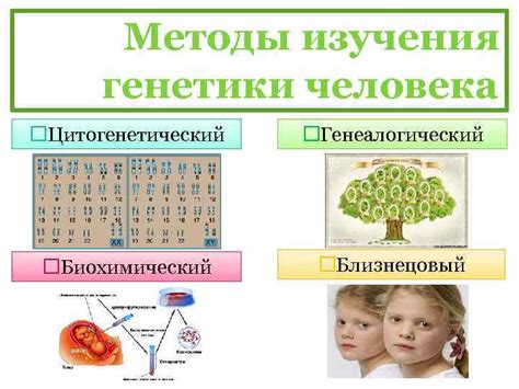 Роль генетики в развитии неадекватности