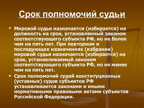 Роль и функции судьи мирового участка 282