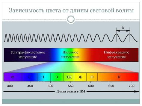 Роль световых волн в зрении