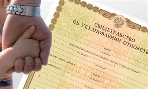 Роль судебных органов в установлении отцовства