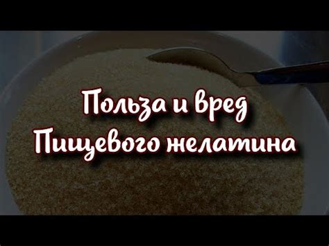 Свойства и текстура пищевого желатина