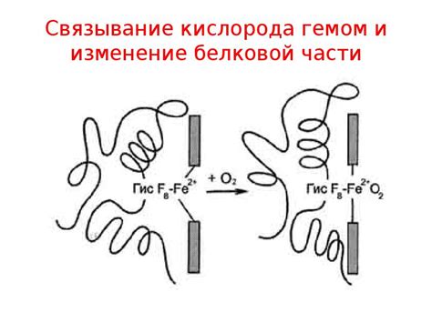 Связывание начальной части