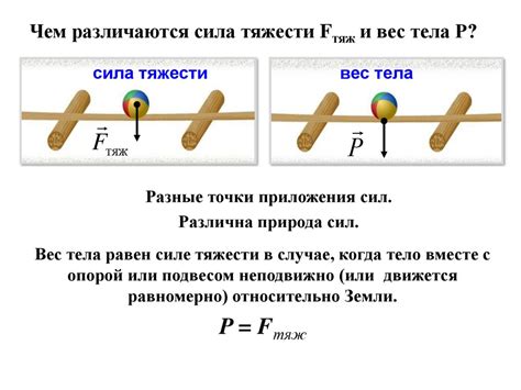 Связь между силой и сухожилями