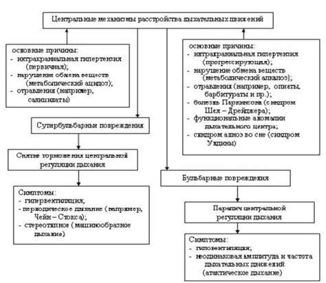 Связь между стрессом, расслабленностью и пульсом: роль дыхания в регуляции внутреннего состояния