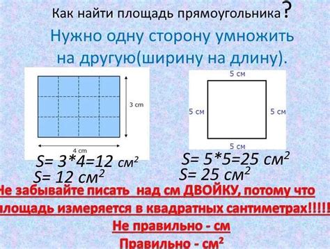 Секреты расчета площади без специальных формул