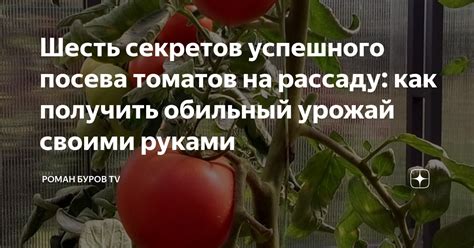 Секреты урожайного садоводства: как получить обильный урожай