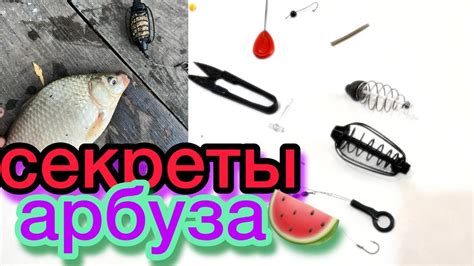 Секреты успешной рыбалки: снасть на жмых