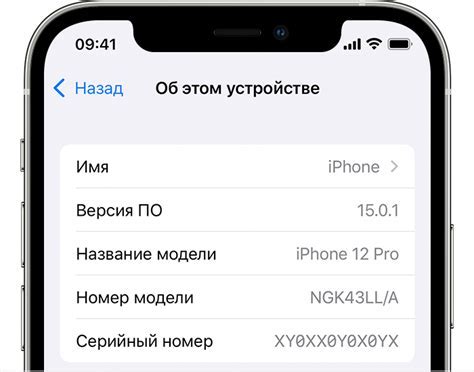 Серийный номер iPhone: краткое описание