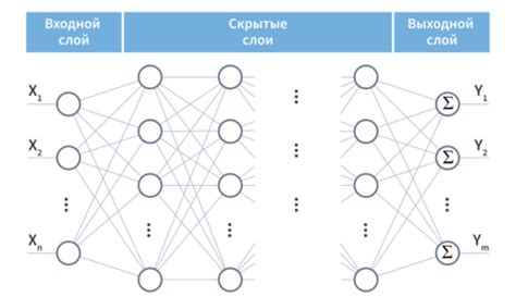 Сети нейронов и связи между ними