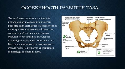 Симптомы вывихнутого таза у детей