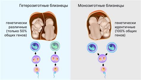 Симптомы и причины цыканья на аудиозаписях