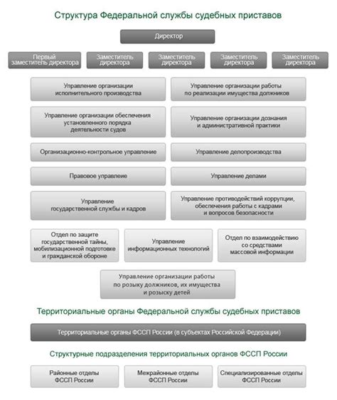 Система подбора и обучения судебных приставов