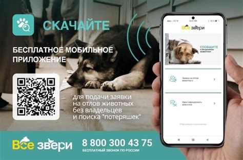 Скачайте и установите приложение ВКонтакте