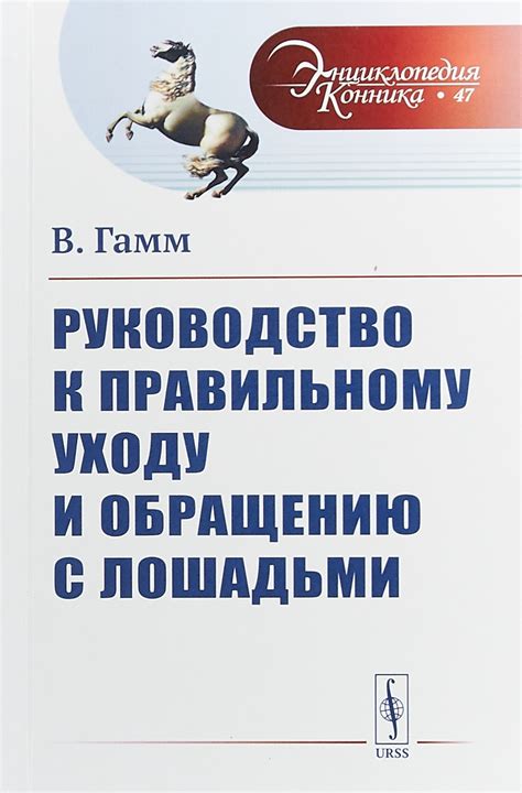 Советы по правильному обращению с верховой лошадью