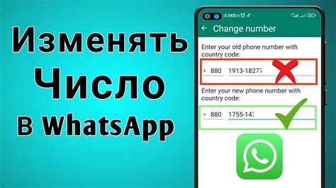 Советы по предотвращению потери данных WhatsApp