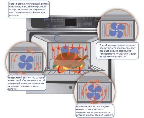 Советы по приготовлению в конвекционной духовке