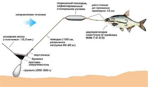 Советы по созданию снасти для ловли сома