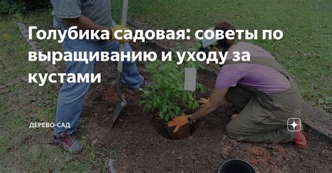 Советы по сохранности и уходу