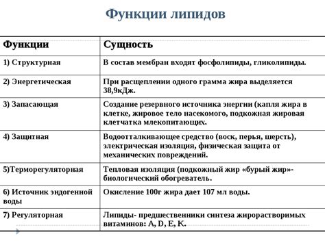 Советы по увеличению уровня липидов в организме