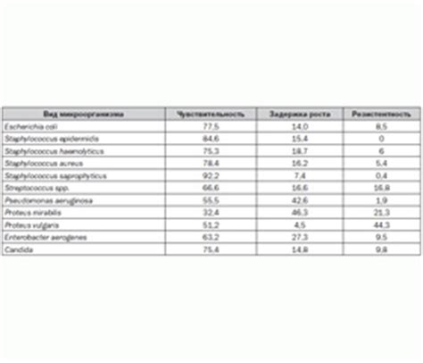 Современные возможности и удобства использования