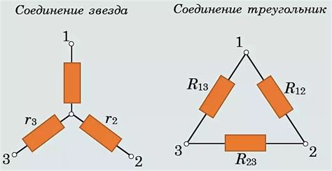 Соединение элементов и создание структуры сойки аглаю