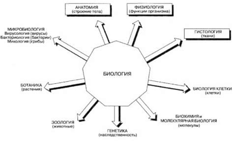 Создайте основу карты, используя готовые элементы или создавая их самостоятельно. Обратите внимание на аим-позиции.