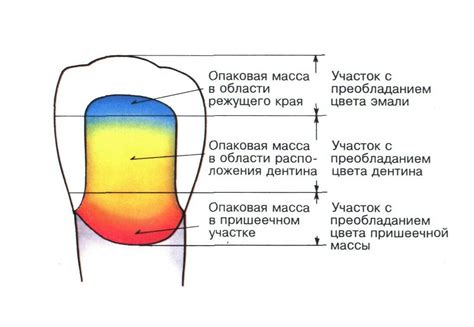 Создание основного слоя глаза