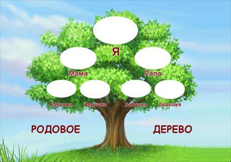 Создание родового дерева: шаги и инструменты